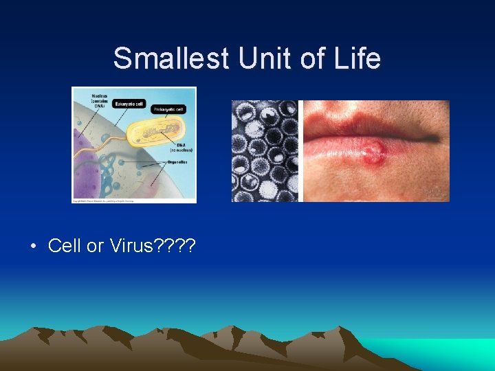 Smallest Unit of Life • Cell or Virus? ? 