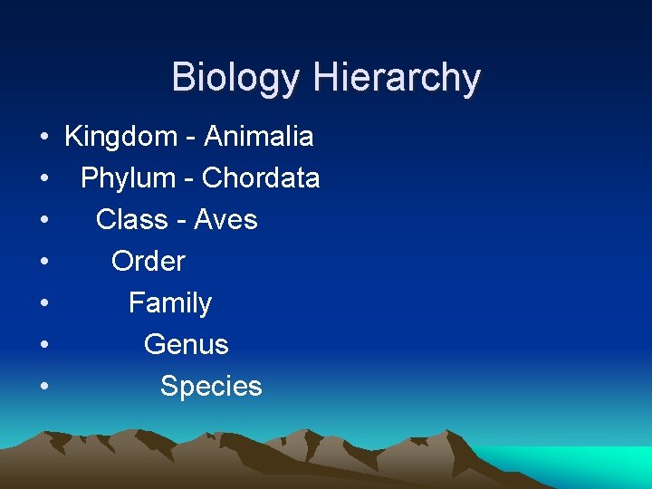 Biology Hierarchy • Kingdom - Animalia • Phylum - Chordata • Class - Aves