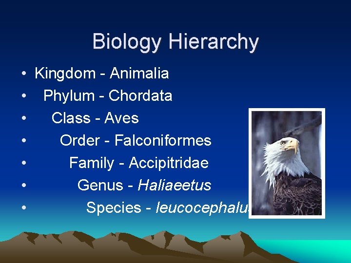 Biology Hierarchy • Kingdom - Animalia • Phylum - Chordata • Class - Aves