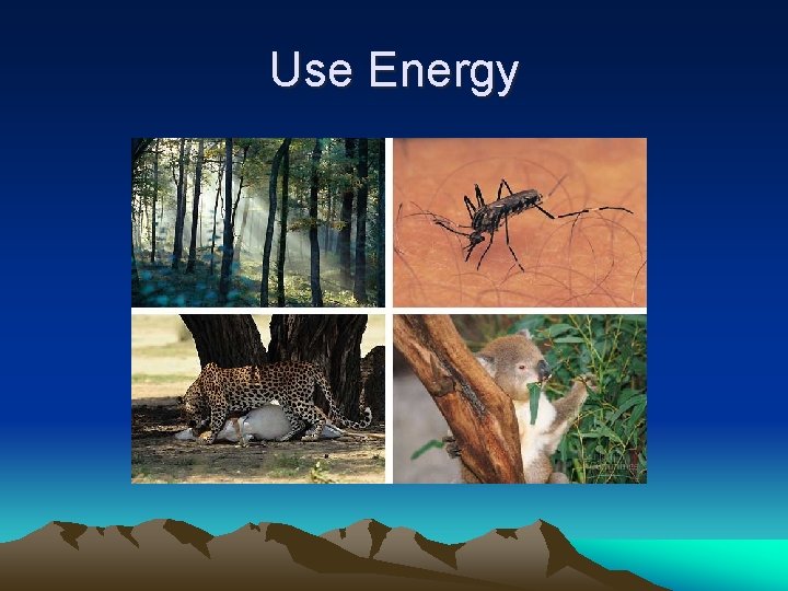 Use Energy 