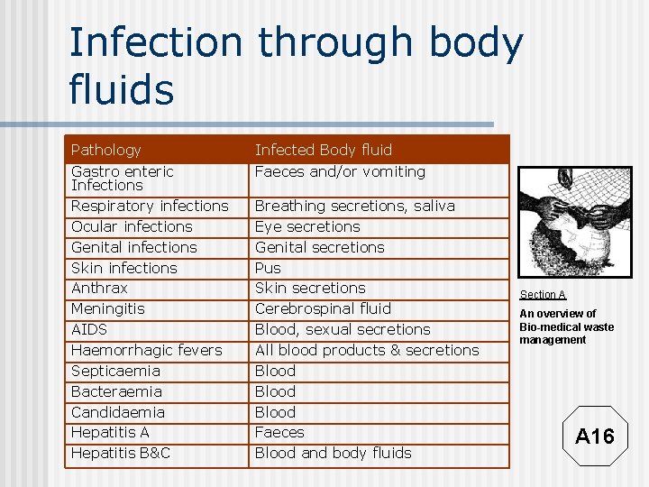 Infection through body fluids Pathology Infected Body fluid Gastro enteric Infections Respiratory infections Ocular
