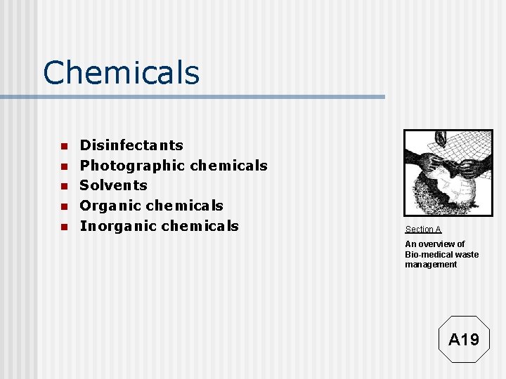 Chemicals n n n Disinfectants Photographic chemicals Solvents Organic chemicals Inorganic chemicals Section A