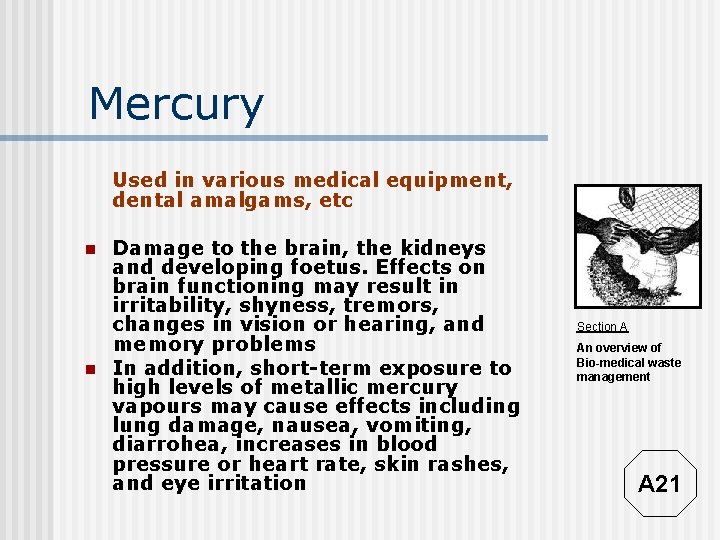 Mercury Used in various medical equipment, dental amalgams, etc n n Damage to the