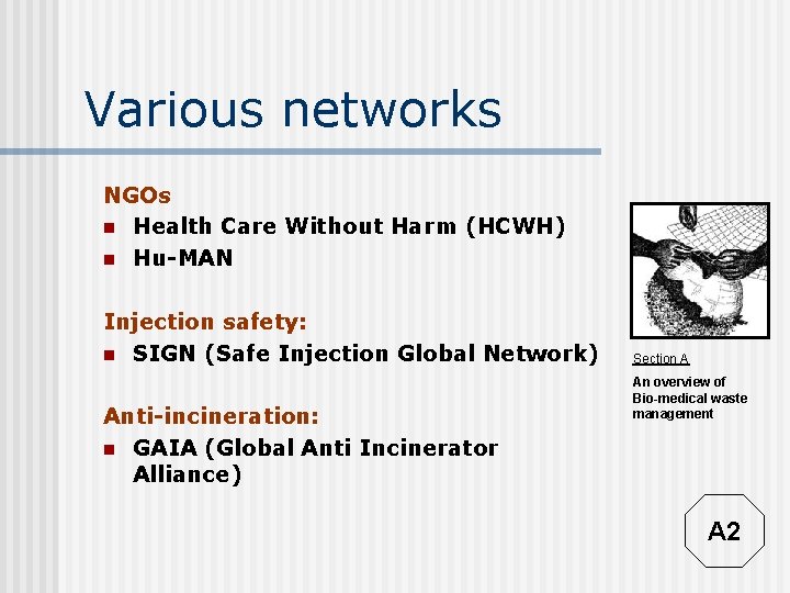 Various networks NGOs n Health Care Without Harm (HCWH) n Hu-MAN Injection safety: n