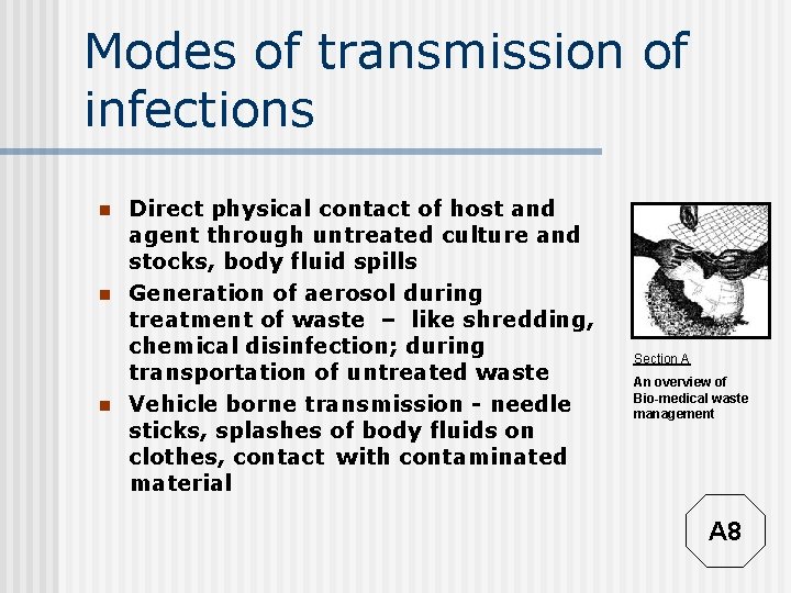 Modes of transmission of infections n n n Direct physical contact of host and