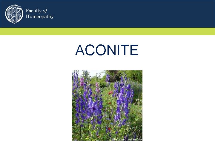 ACONITE 