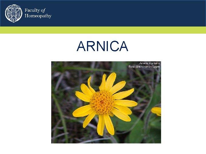 ARNICA 