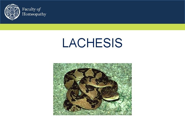 LACHESIS 