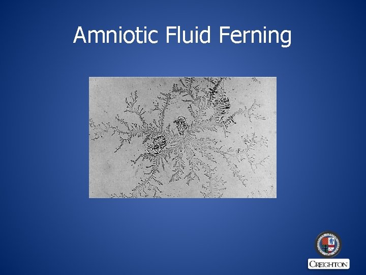 Amniotic Fluid Ferning 