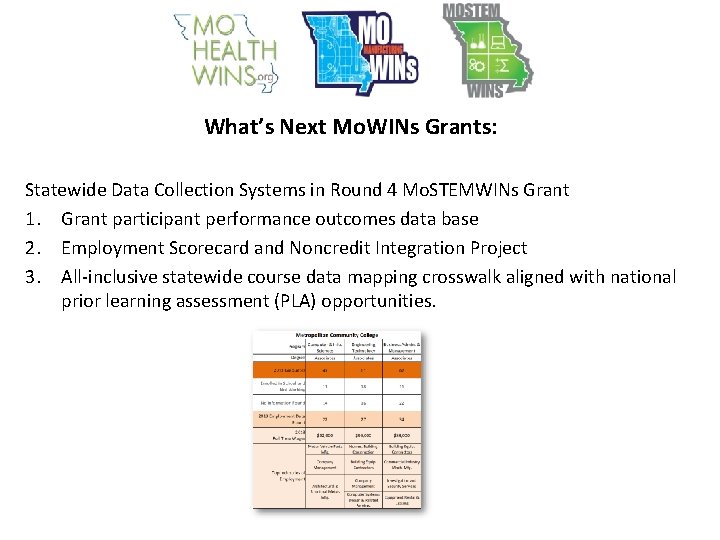 What’s Next Mo. WINs Grants: Statewide Data Collection Systems in Round 4 Mo. STEMWINs