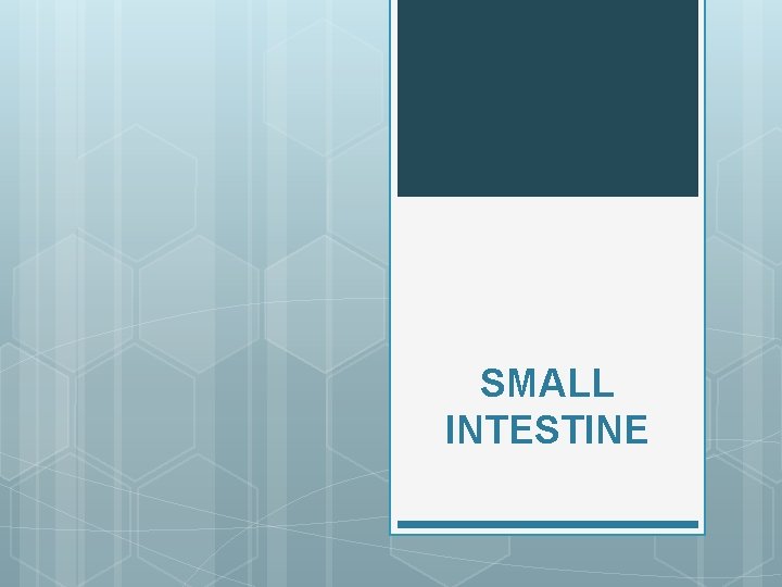 SMALL INTESTINE 