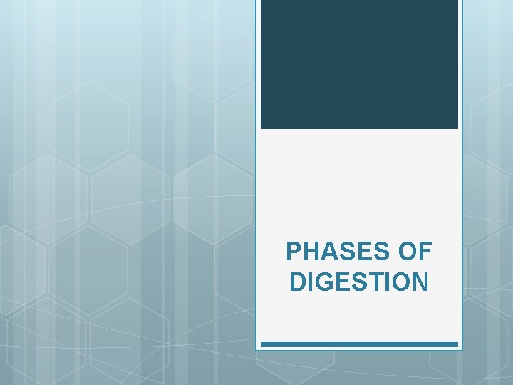 PHASES OF DIGESTION 