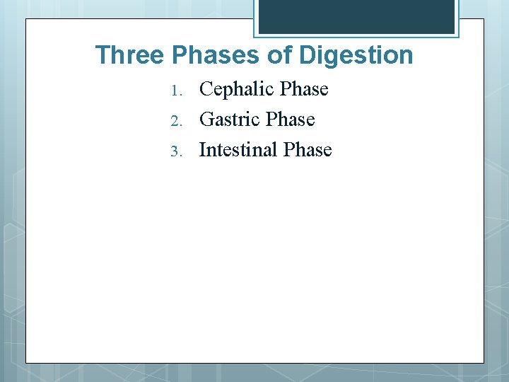 Three Phases of Digestion 1. 2. 3. Cephalic Phase Gastric Phase Intestinal Phase 