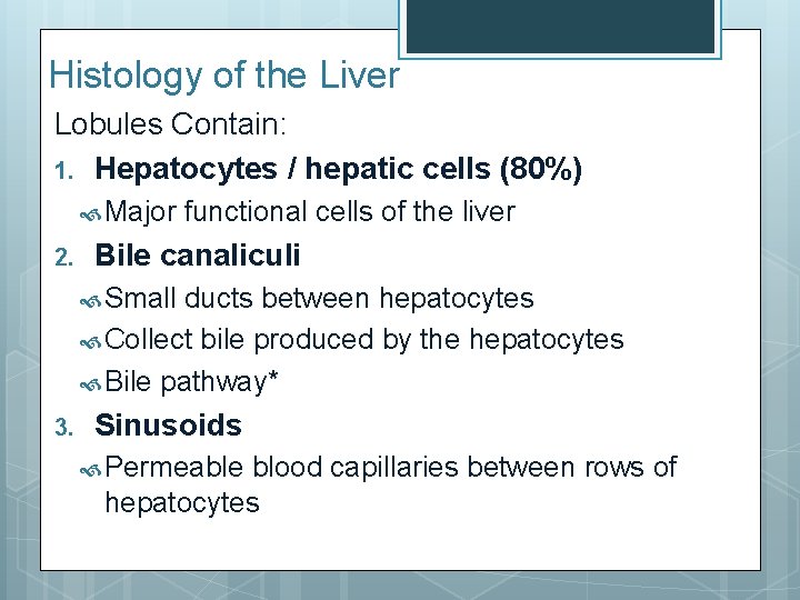 Histology of the Liver Lobules Contain: 1. Hepatocytes / hepatic cells (80%) Major 2.
