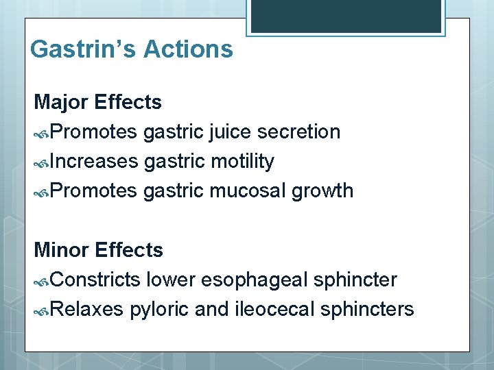 Gastrin’s Actions Major Effects Promotes gastric juice secretion Increases gastric motility Promotes gastric mucosal