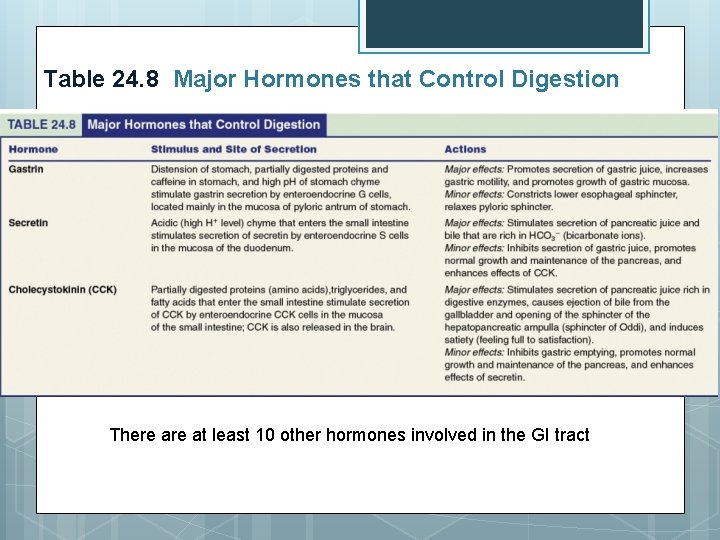 Table 24. 8 Major Hormones that Control Digestion There at least 10 other hormones Table 24. 8 Major Hormones that Control Digestion There at least 10 other hormones