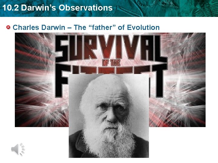 10. 2 Darwin’s Observations Charles Darwin – The “father” of Evolution 