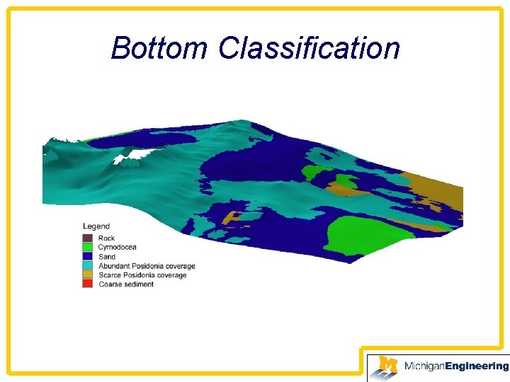 Bottom Classification 