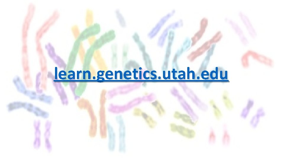 learn. genetics. utah. edu 