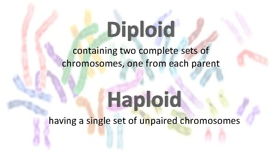 Diploid containing two complete sets of chromosomes, one from each parent Haploid having a