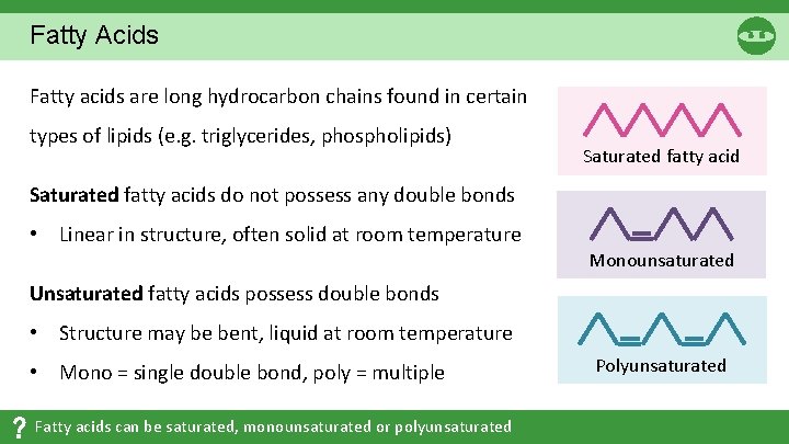 Fatty Acids Fatty acids are long hydrocarbon chains found in certain types of lipids