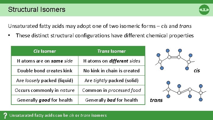 Structural Isomers Unsaturated fatty acids may adopt one of two isomeric forms – cis