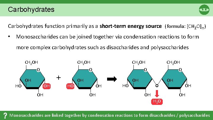Carbohydrates function primarily as a short-term energy source ( formula: [CH 2 O]n )