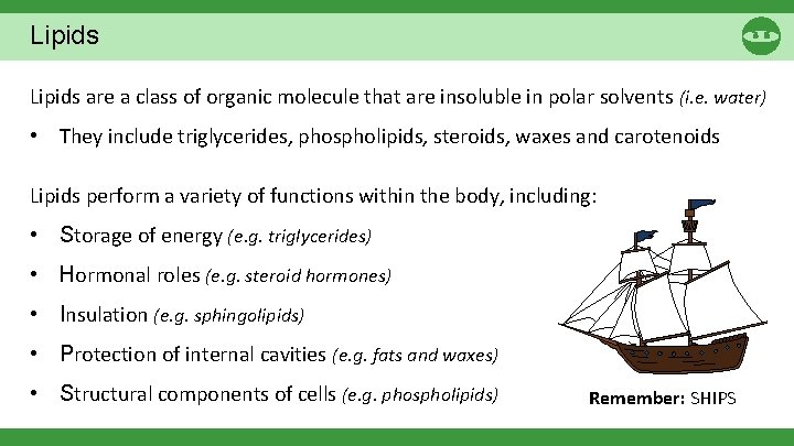 Lipids are a class of organic molecule that are insoluble in polar solvents (i.