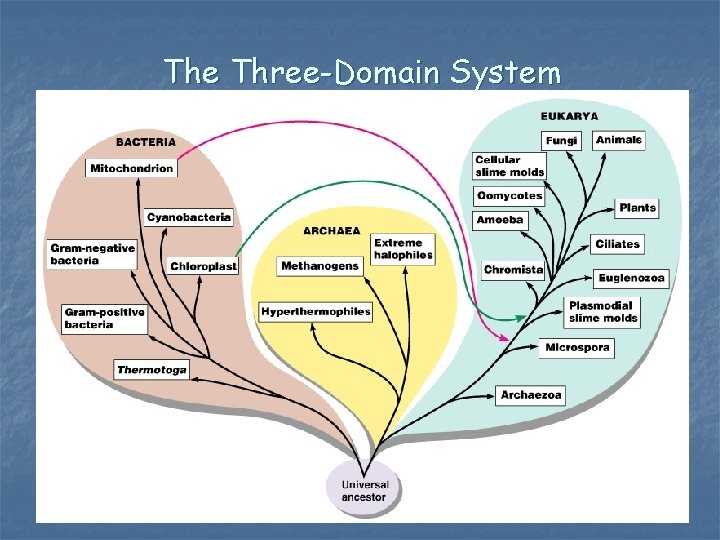 The Three-Domain System 