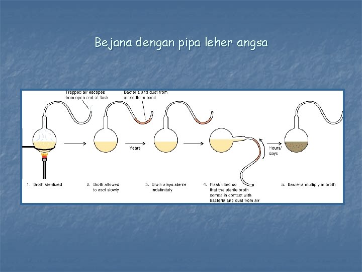 Bejana dengan pipa leher angsa 