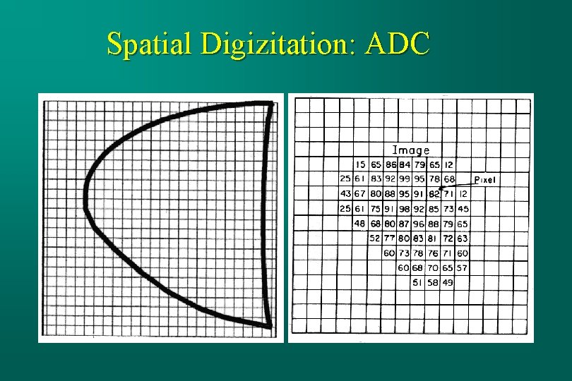 Spatial Digizitation: ADC 