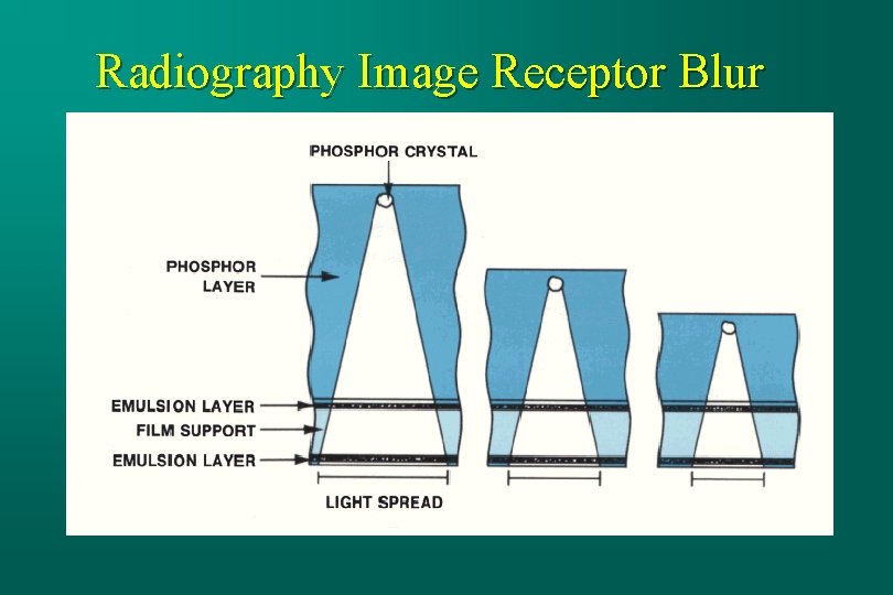 Radiography Image Receptor Blur 
