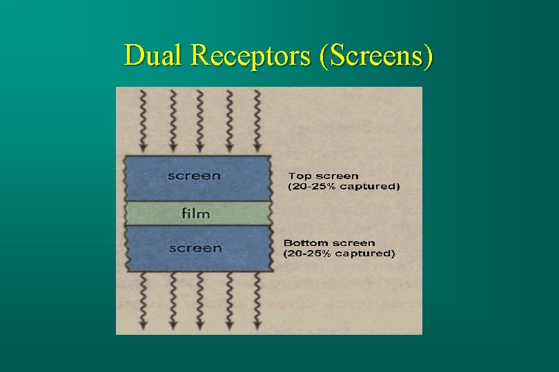 Dual Receptors (Screens) 