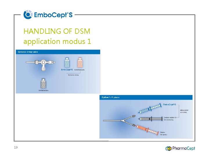 HANDLING OF DSM application modus 1 19 