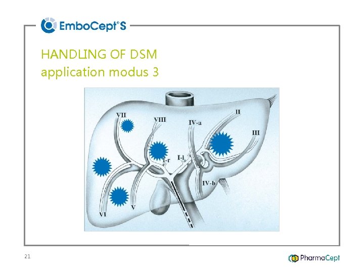HANDLING OF DSM application modus 3 21 