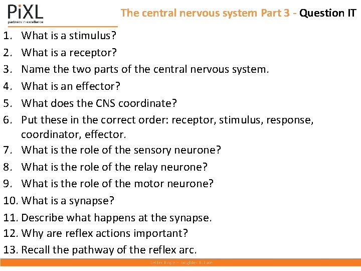 The central nervous system Part 3 - Question IT 1. 2. 3. 4. 5.