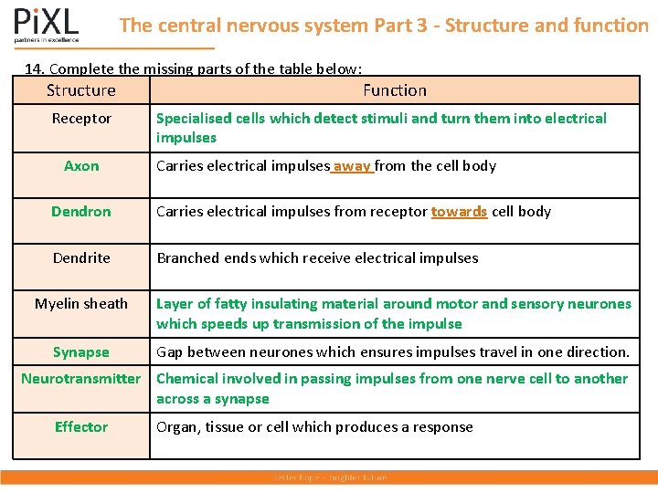 The central nervous system Part 3 - Structure and function 14. Complete the missing