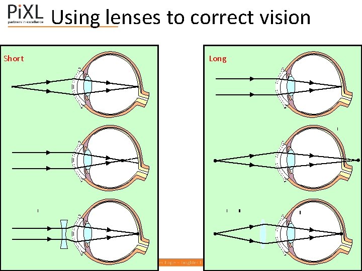 Using lenses to correct vision Short Long 