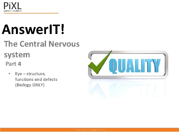 Answer. IT! The Central Nervous system Part 4 • Eye – structure, functions and