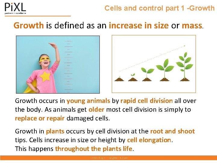 Cells and control part 1 -Growth is defined as an increase in size or