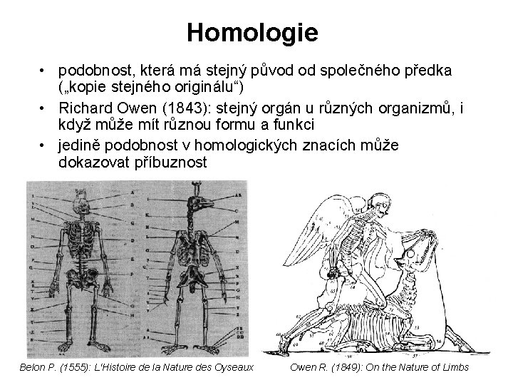 Homologie • podobnost, která má stejný původ od společného předka („kopie stejného originálu“) •