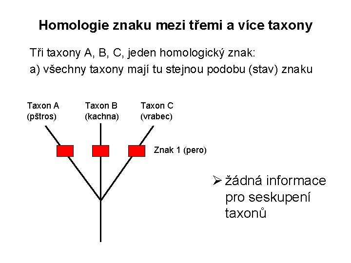 Homologie znaku mezi třemi a více taxony Tři taxony A, B, C, jeden homologický
