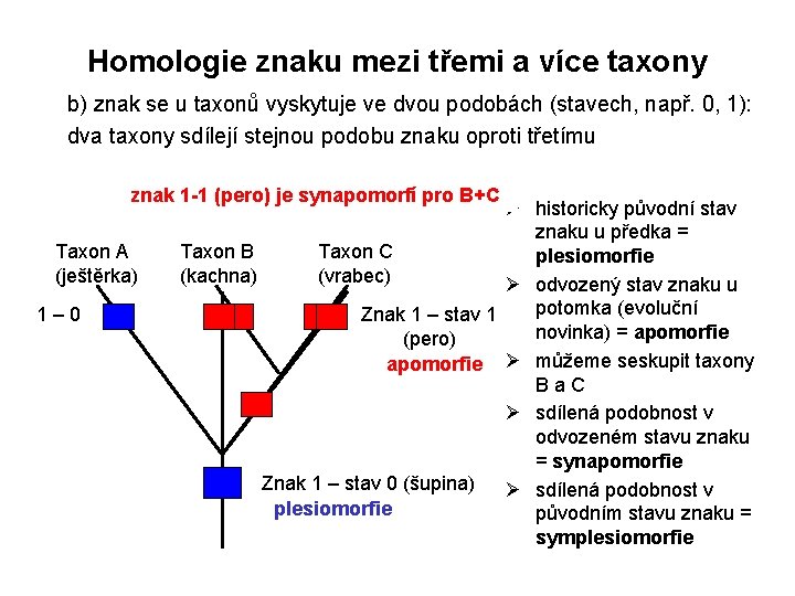 Homologie znaku mezi třemi a více taxony b) znak se u taxonů vyskytuje ve