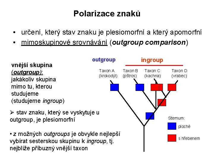 Polarizace znaků • určení, který stav znaku je plesiomorfní a který apomorfní • mimoskupinové