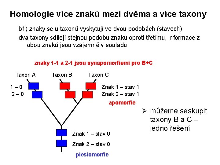 Homologie více znaků mezi dvěma a více taxony b 1) znaky se u taxonů