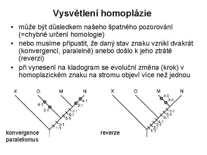 Vysvětlení homoplázie • může být důsledkem našeho špatného pozorování (=chybné určení homologie) • nebo