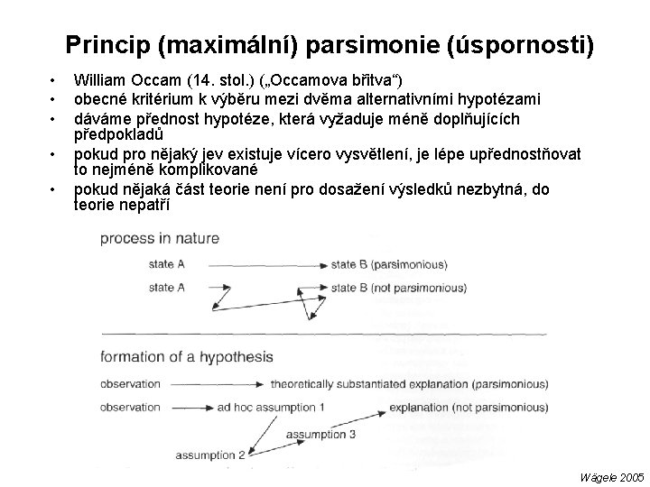 Princip (maximální) parsimonie (úspornosti) • • • William Occam (14. stol. ) („Occamova břitva“)