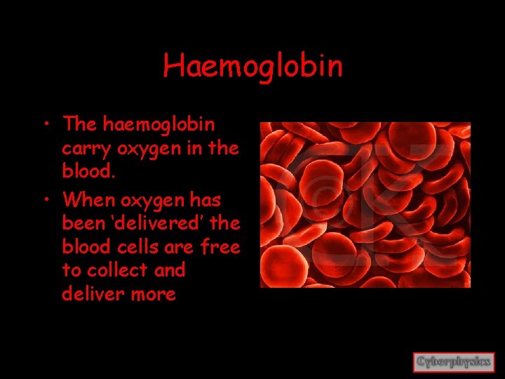 Haemoglobin • The haemoglobin carry oxygen in the blood. • When oxygen has been
