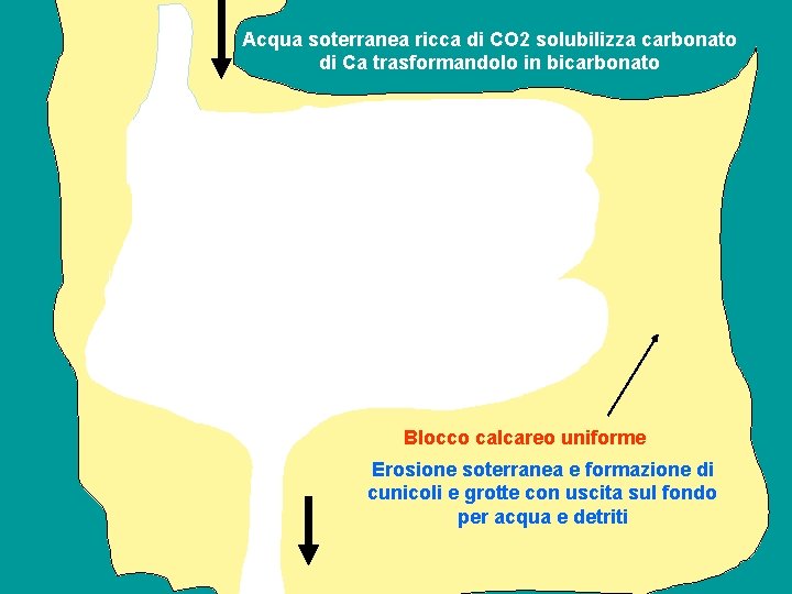 Acqua soterranea ricca di CO 2 solubilizza carbonato di Ca trasformandolo in bicarbonato Blocco