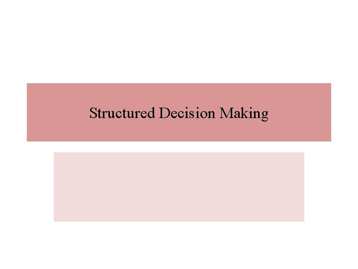 Structured Decision Making 